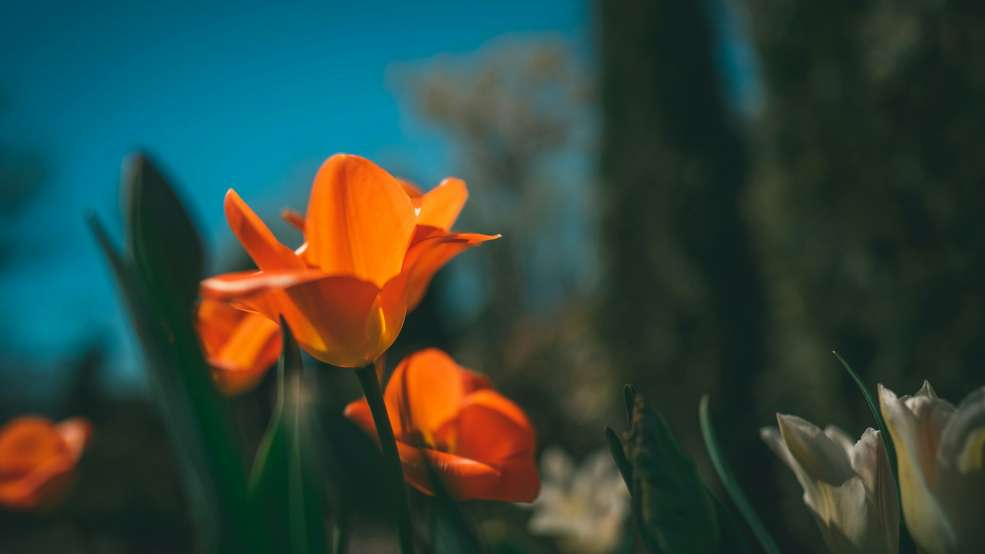 コンクリート工事